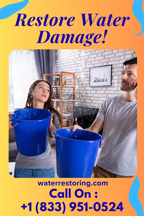 water restoration Sterling Sewage Cleanup Group Harvey Cedars