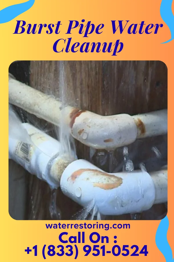 Burst Pipe Water Cleanup in Harvey Cedars, NJ