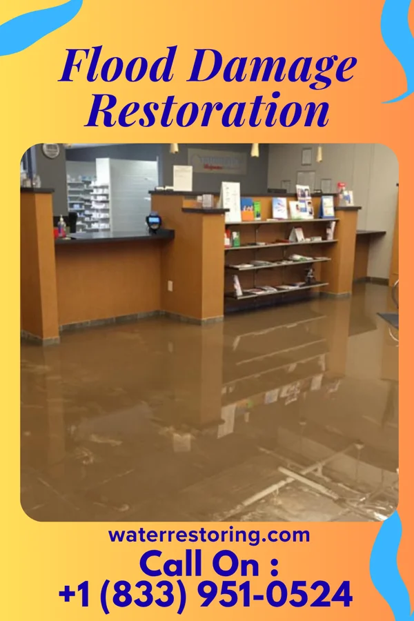 Flood Damage Restoration in Harvey Cedars, NJ