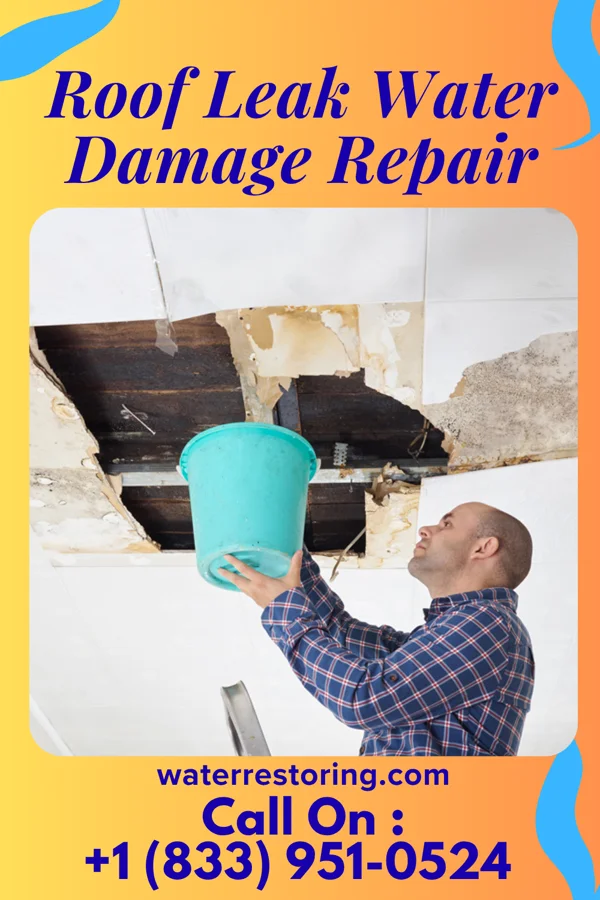 Roof Leak Water Damage Repair in Harvey Cedars, NJ