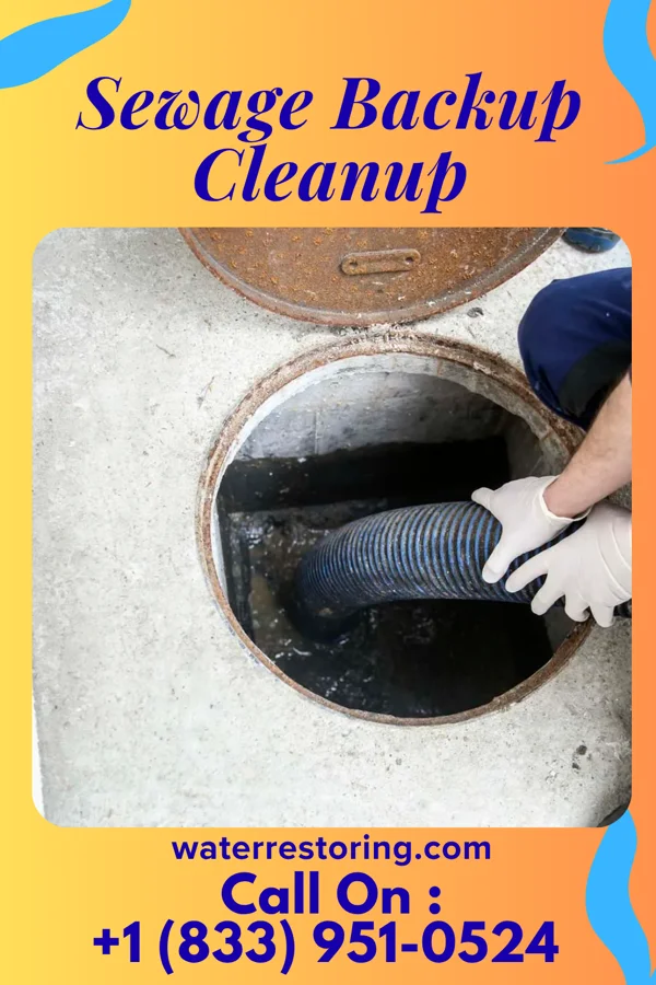 Sewage Backup Cleanup in Harvey Cedars, NJ