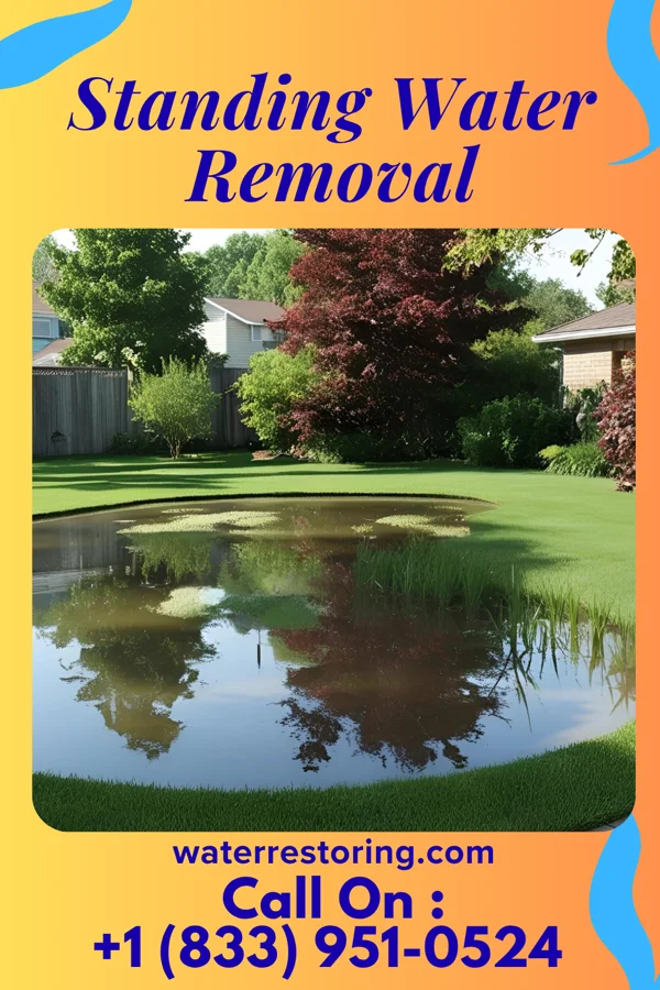 Standing Water Removal in Harvey Cedars, NJ